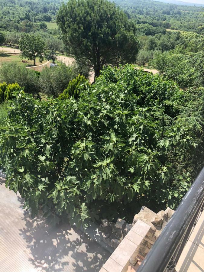 Stancieta Ulrihi Villa Marasi Buitenkant foto